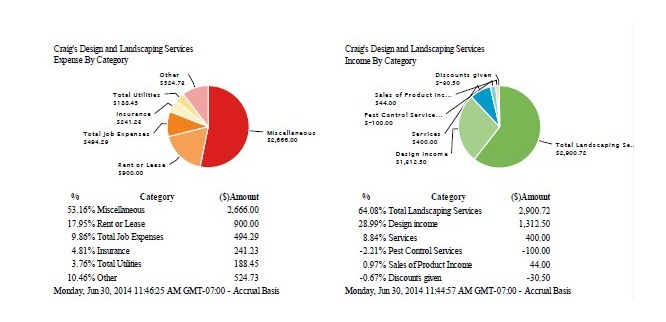 Color Graph Expense AND Income Example PAINT